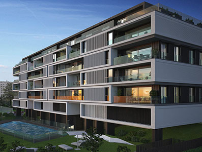 Portfolio Image